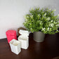 Three small plastic storage containers in white, pink, and brown, displayed on a dark wooden table next to a potted green plant against a textured light gray wall.